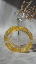 Load and play video in Gallery viewer, Sunflower Petal Propogration Stand
