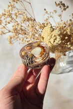 Load image into Gallery viewer, Shell Magnet

