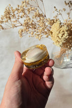 Load image into Gallery viewer, Shell Magnet
